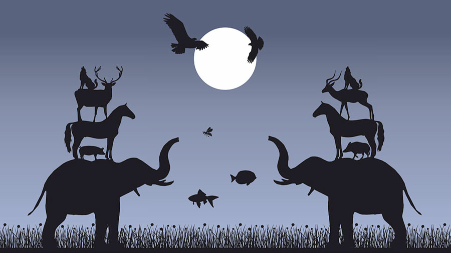 illustration projektbild5