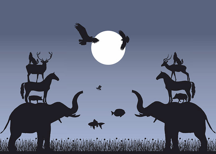 illustration projektbild5